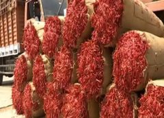 Farmers are worried as the price of chilli sold in Enumamula market is falling.