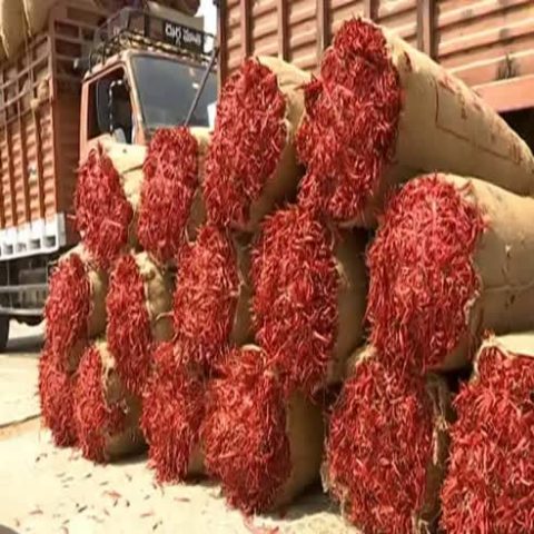 Farmers are worried as the price of chilli sold in Enumamula market is falling.