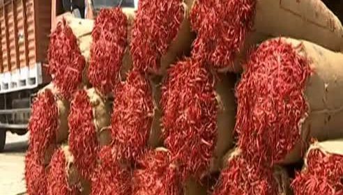 Farmers are worried as the price of chilli sold in Enumamula market is falling.