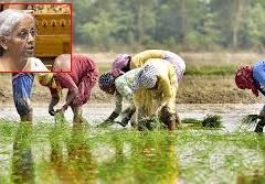 The central government budget has neglected the agriculture sector