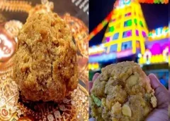 Tirumala Laddu adulteration case