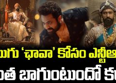 Jr NTR For Telugu CHHAAVA