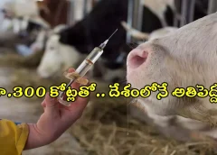 veterinary vaccine production center will come up in Telangana