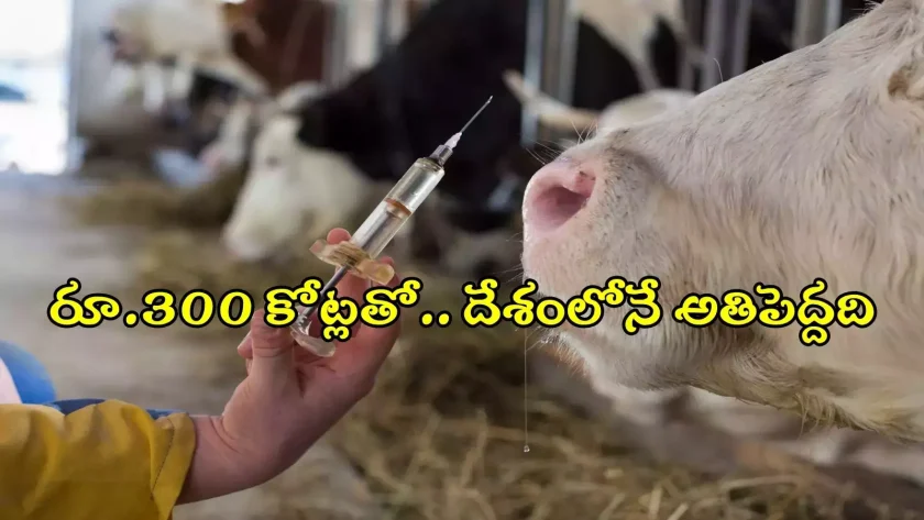 veterinary vaccine production center will come up in Telangana