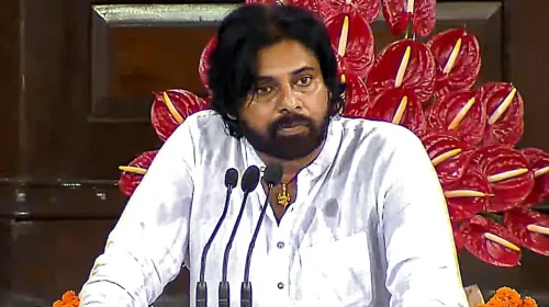 Mega, Allu family celebrate Jana Sena's formation