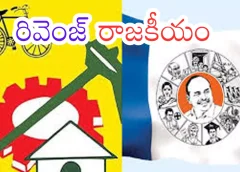 Revenge politics in AP