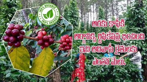 araku coffe