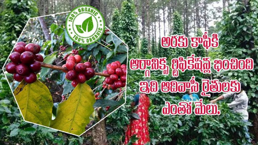 araku coffe