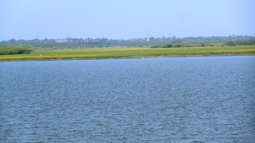 Stop pond excavations