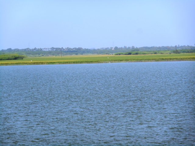 Stop pond excavations