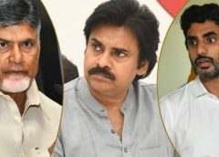 Pawan and Lokesh will be given key responsibilities.