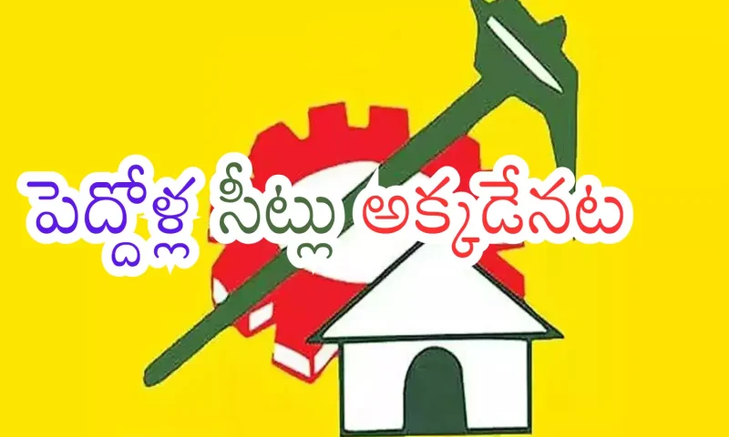 Telugu Desam Party leadership has completely changed.