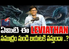 Explained : What Is LEVIATHAN | Leviathan Exist..?